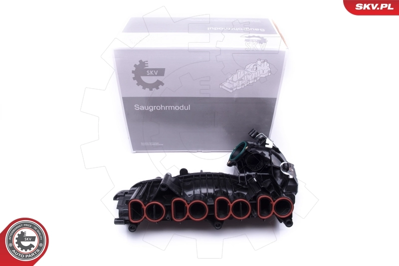 Intake Manifold Module